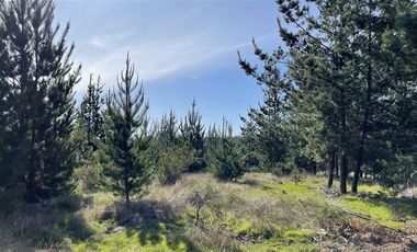 Parcela en Venta en Alto Colorado