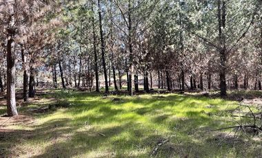 Parcela en Venta en Alto Colorado