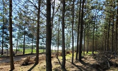 Parcela en Venta en Alto Colorado