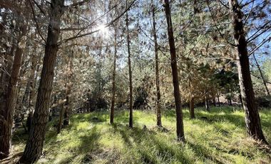 Parcela en Venta en Alto Colorado