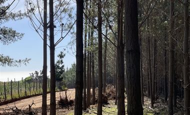 Parcela en Venta en Alto Colorado