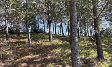 Parcela en Venta en Alto Colorado