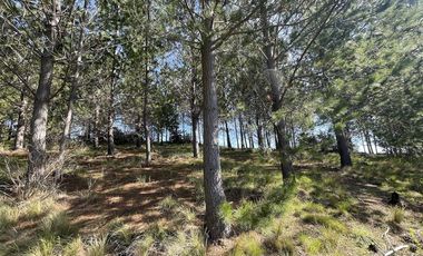 Parcela en Venta en Alto Colorado