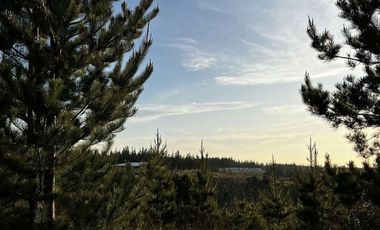 Parcela en Venta en Alto Colorado