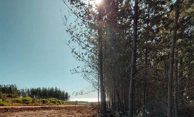 Parcela en Venta en Alto Colorado