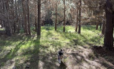 Parcela en Venta en Alto Colorado