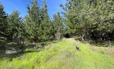 Parcela en Venta en Alto Colorado