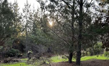 Parcela en Venta en Alto Colorado