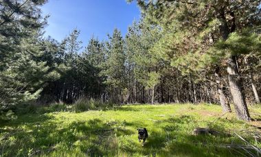 Parcela en Venta en Alto Colorado