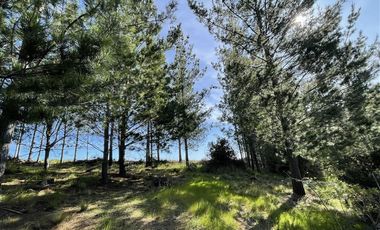 Parcela en Venta en Alto Colorado