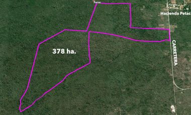 Terreno de 378 has en Venta a 15 Kms de Mérida - Tzacalá