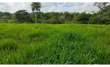 VENTA DE FINCA VA PLANETA RICA, MONTERIA