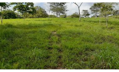 VENTA DE FINCA VA PLANETA RICA, MONTERIA