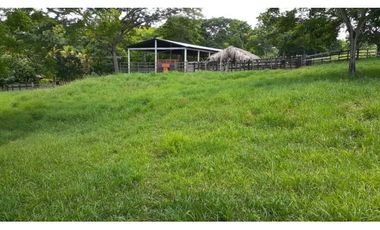 VENTA DE FINCA VA PLANETA RICA, MONTERIA