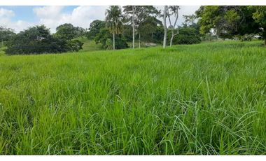 VENTA DE FINCA VA PLANETA RICA, MONTERIA
