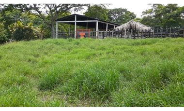 VENTA DE FINCA VA PLANETA RICA, MONTERIA