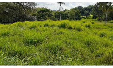 VENTA DE FINCA VA PLANETA RICA, MONTERIA