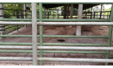 VENTA DE FINCA VA PLANETA RICA, MONTERIA