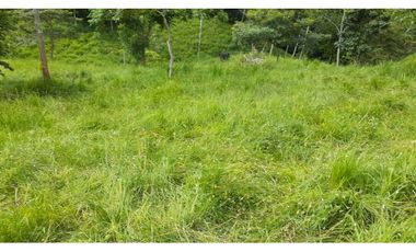 VENTA DE FINCA VA PLANETA RICA, MONTERIA