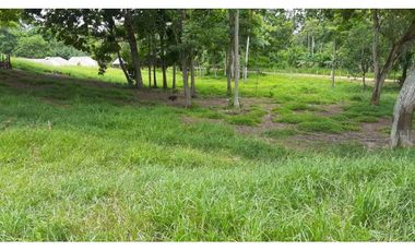 VENTA DE FINCA VA PLANETA RICA, MONTERIA