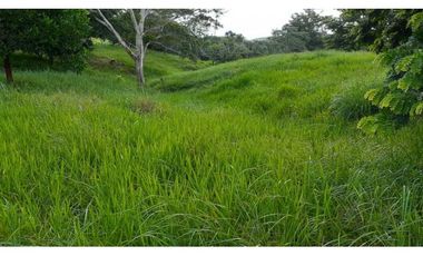 VENTA DE FINCA VA PLANETA RICA, MONTERIA
