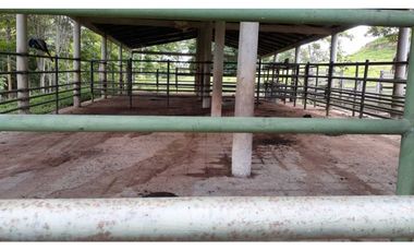 VENTA DE FINCA VA PLANETA RICA, MONTERIA