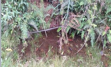 finca en venta en granada. Cod V3958