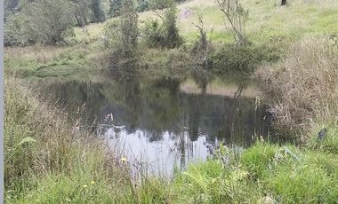 finca en venta en granada. Cod V3958