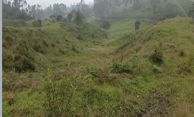 finca en venta en granada. Cod V3958