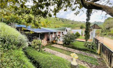 Venta de finca en San Roque, Antioquia