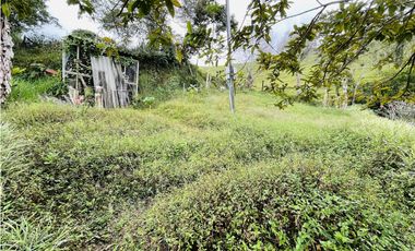 Venta de finca en San Roque, Antioquia