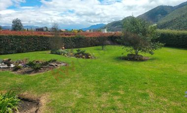 casa en arriendo/venta en la calera. Cod V8974712