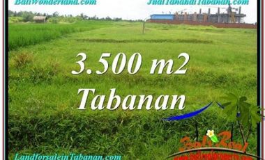 3.500 m2 View Sawah Murah Rp 2 jt/m di Tabanan Kerambitan