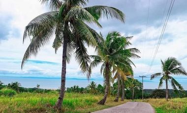 Very Affordable Single Attached 2bedrom-OverLooking