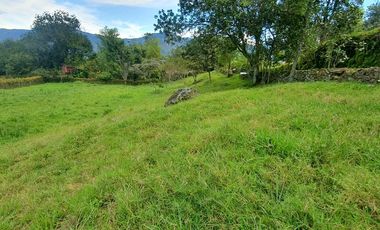 VENDO LOTE EN COPACABANA SECTOR LA VETA