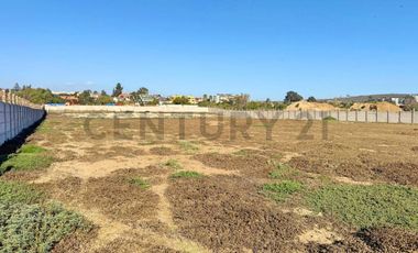 Se arrienda terreno comercial en la Ruta 5