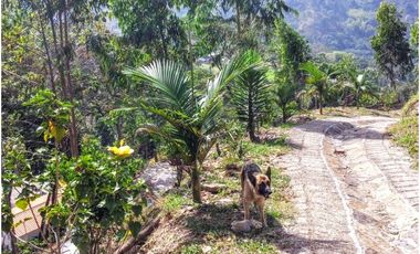 Venta Finca en San Francisco Cundinamarca