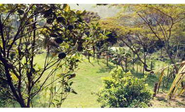 Venta Finca en San Francisco Cundinamarca