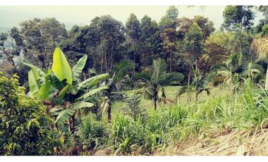Venta Finca en San Francisco Cundinamarca