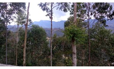 Venta Finca en San Francisco Cundinamarca