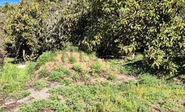 Hermosa parcela en Valdivia de Paine .Vista al río