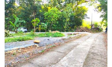 Jual Tanah di Yogyakarta Legalitas SHM Pekarangan