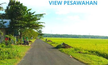 Jual Tanah di Yogyakarta Legalitas SHM Pekarangan