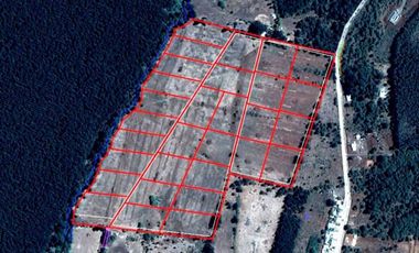 RyA Vende lotes de 5.000mtr2 en Quilleco
