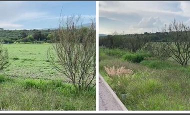 Terreno residencial con casa de playa y bar. PREVENTA, San Miguel de Allende