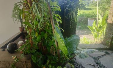 VILLA LANGKA HARGA BERSAING DEKAT CENTRAL UBUD