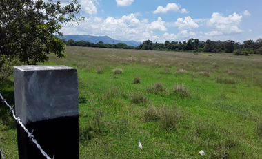 FINCA EN VENTA EN COTA