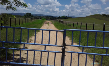 FINCA EN VENTA EN COTA