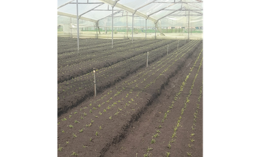 FINCA EN VENTA EN COTA