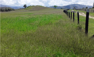FINCA EN VENTA EN COTA